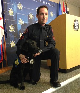 Black Hawk town: dog joins Calgary Police Force to help trauma victims | iNFOnews.ca Black Hawk town: dog joins Calgary Police Force to help trauma victims | iNFOnews.ca
