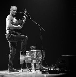 Sting's 2013 Back to Bass tour kicks off in Kelowna | iNFOnews.ca Sting's 2013 Back to Bass tour kicks off in Kelowna | iNFOnews.ca