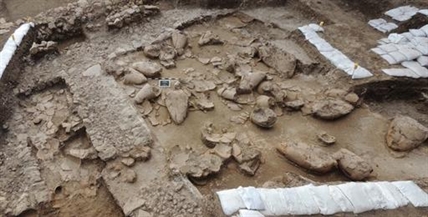 Raising Canaan? Wine cellar found in ancient palace was where they kept the good stuff | iNFOnews.ca