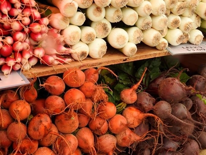 Keep pets away from gardens to prevent food-borne illness | iNFOnews.ca