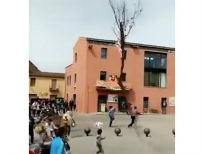 TRENDING NOW: Narrow escape from falling tree | iNFOnews.ca