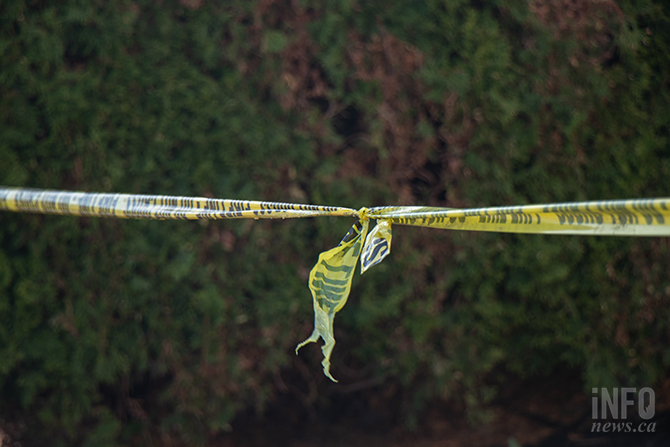 Canada's Jennifer Jones and Kevin Koe win curling World Cup Grand Final | iNFOnews.ca