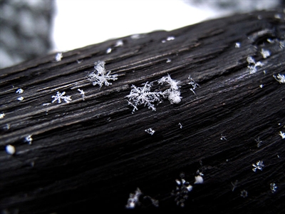Snowfall warning for Vernon | iNFOnews.ca Snowfall warning for Vernon | iNFOnews.ca