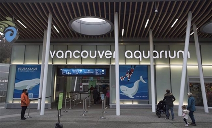 Vancouver Aquarium files civil claim suing city and park board over cetacean ban | iNFOnews.ca Vancouver Aquarium files civil claim suing city and park board over cetacean ban | iNFOnews.ca