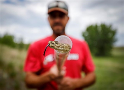 Who you gonna call? Alberta rattlesnake wrangler keeps serpents, citizens safe | iNFOnews.ca