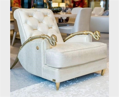 Vancouver police ask for help over theft of high-end snake chairs | iNFOnews.ca