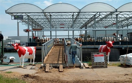 Dutch farm floats possibilities of urban dairy production | iNFOnews.ca Dutch farm floats possibilities of urban dairy production | iNFOnews.ca