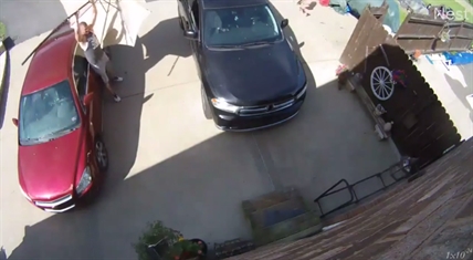 TRENDING NOW: Catching a flying umbrella | iNFOnews.ca TRENDING NOW: Catching a flying umbrella | iNFOnews.ca