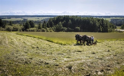 Farmers look to capture carbon as warnings of climate shocks grow louder | iNFOnews.ca Farmers look to capture carbon as warnings of climate shocks grow louder | iNFOnews.ca