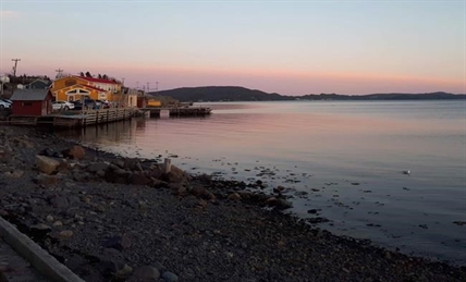 Jimmy Kimmel named honourary mayor of Dildo, N.L., promises to visit community | iNFOnews.ca Jimmy Kimmel named honourary mayor of Dildo, N.L., promises to visit community | iNFOnews.ca