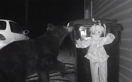 TRENDING NOW: DIY bear-proofing | iNFOnews.ca TRENDING NOW: DIY bear-proofing | iNFOnews.ca