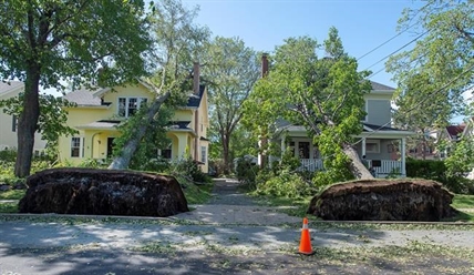 UPDATE: Crews work to restore power and clear debris left in Dorian's wake | iNFOnews.ca