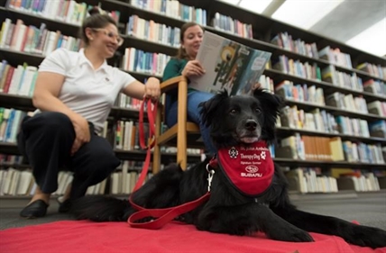 Vancouver library loans out dogs in poetry promotion for 15-minute outings | iNFOnews.ca Vancouver library loans out dogs in poetry promotion for 15-minute outings | iNFOnews.ca