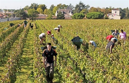 No-spray zones divide French farmers from anxious neighbours | iNFOnews.ca No-spray zones divide French farmers from anxious neighbours | iNFOnews.ca