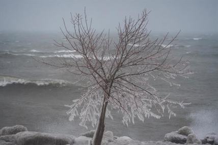 Average fall, cold winter ahead in Canada, The Weather Network predicts | iNFOnews.ca