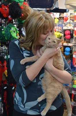 Puppy mill ban faces local opposition | iNFOnews.ca Puppy mill ban faces local opposition | iNFOnews.ca