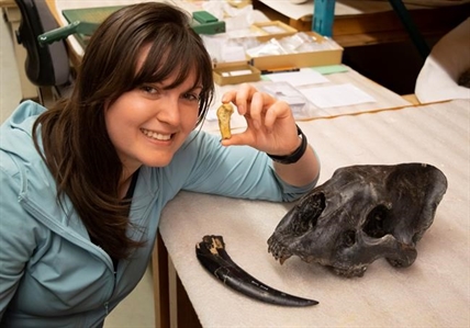 Scientist finds fossil evidence of sabre-toothed cat in southern Alberta | iNFOnews.ca