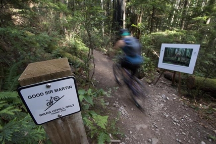 Cyclists, bear OK after bruin chases them on North Vancouver trail | iNFOnews.ca Cyclists, bear OK after bruin chases them on North Vancouver trail | iNFOnews.ca