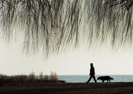 Dog owners have reduced risk of dying from heart problems, says researcher | iNFOnews.ca