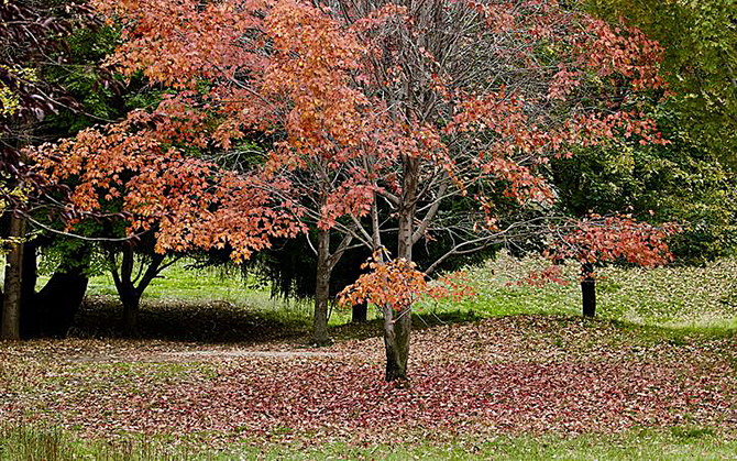 Where to catch the fall colours before they're gone in Kamloops and the Okanagan | iNFOnews.ca Where to catch the fall colours before they're gone in Kamloops and the Okanagan | iNFOnews.ca