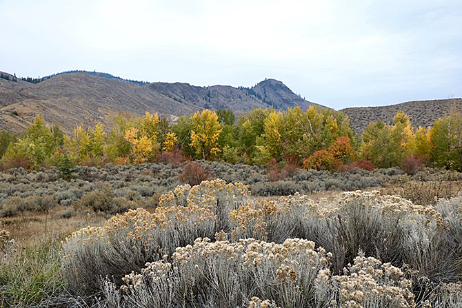 Where to catch the fall colours before they're gone in Kamloops and the Okanagan | iNFOnews.ca Where to catch the fall colours before they're gone in Kamloops and the Okanagan | iNFOnews.ca