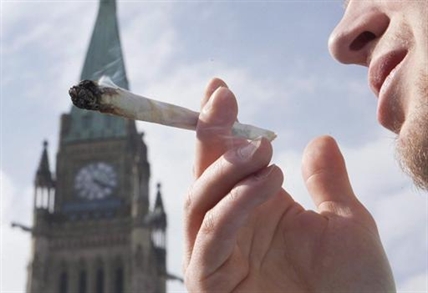 Tickets for minor offences could save cops serious cash | iNFOnews.ca