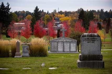 Vancouver cemetery looks to add more bodies to one grave in sustainability move | iNFOnews.ca