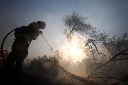 Electrical crews from B.C. head to northern California devastated by wildfires | iNFOnews.ca