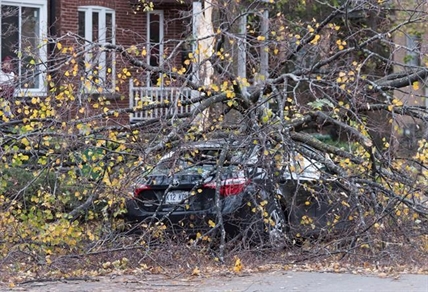 1 dead, almost a million customers without power following wind storm in Quebec | iNFOnews.ca 1 dead, almost a million customers without power following wind storm in Quebec | iNFOnews.ca