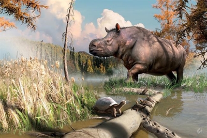 Fragments found in Yukon 46 years ago was from ancient rhinoceros | iNFOnews.ca Fragments found in Yukon 46 years ago was from ancient rhinoceros | iNFOnews.ca