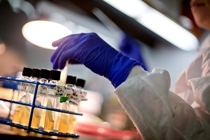 Report predicts drug resistance likely to kill 400,000 Canadians by 2050 | iNFOnews.ca