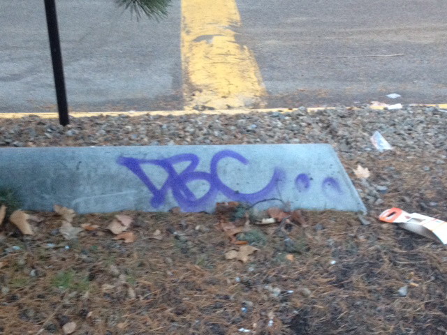 Police looking for DBC graffiti vandal | iNFOnews.ca