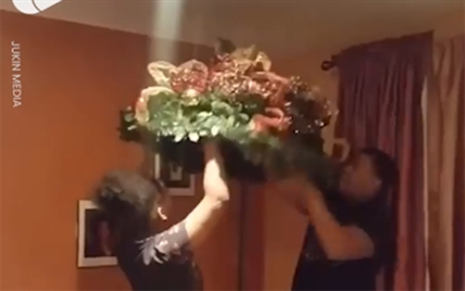 TRENDING NOW: The perfect Christmas tree | iNFOnews.ca TRENDING NOW: The perfect Christmas tree | iNFOnews.ca