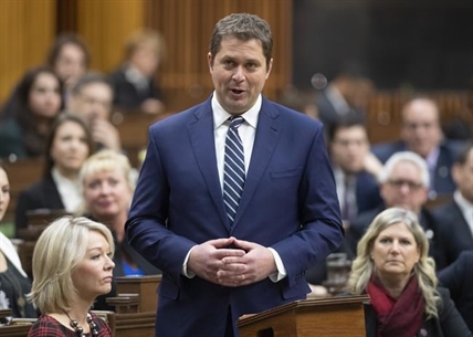 Conservative party's fundraising boss takes over temporary helm of party | iNFOnews.ca
