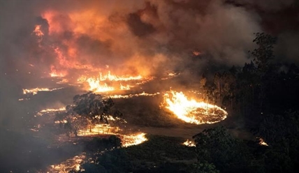Raging wildfires trap 4,000 at Australian town's waterfront | iNFOnews.ca