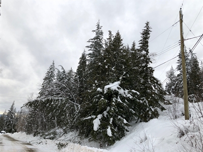 Power coming back in North Okanagan, Shuswap as crews prepare for more snow | iNFOnews.ca Power coming back in North Okanagan, Shuswap as crews prepare for more snow | iNFOnews.ca