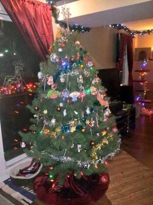 Twelve locations to toss your trees | iNFOnews.ca