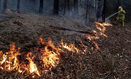 Canada will consider more aid for Australia as bushfires burn across country | iNFOnews.ca