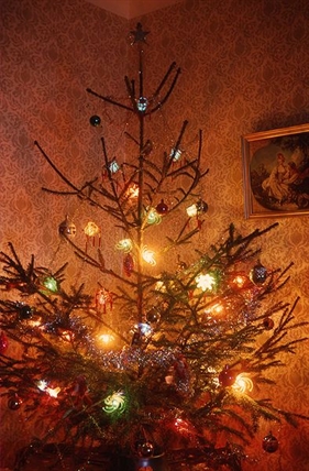 Mulched Christmas trees a chip off the old block | iNFOnews.ca Mulched Christmas trees a chip off the old block | iNFOnews.ca