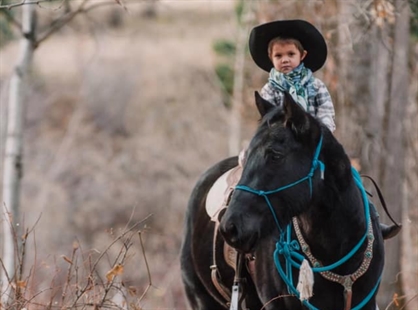 Kamloops rider hit by CN train regaining memory of impact that killed beloved horse | iNFOnews.ca