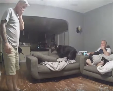 TRENDING NOW: Why there's no running in the house | iNFOnews.ca