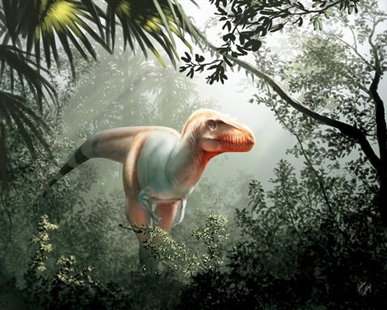 First cancer diagnosed in dinosaur fossil hints at communal life | iNFOnews.ca