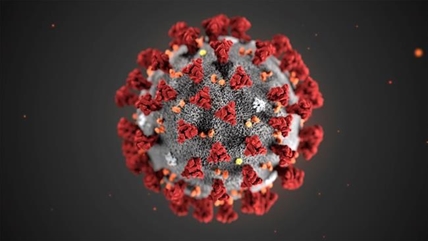 Canadian research officials return from Geneva with plan to tackle coronavirus | iNFOnews.ca
