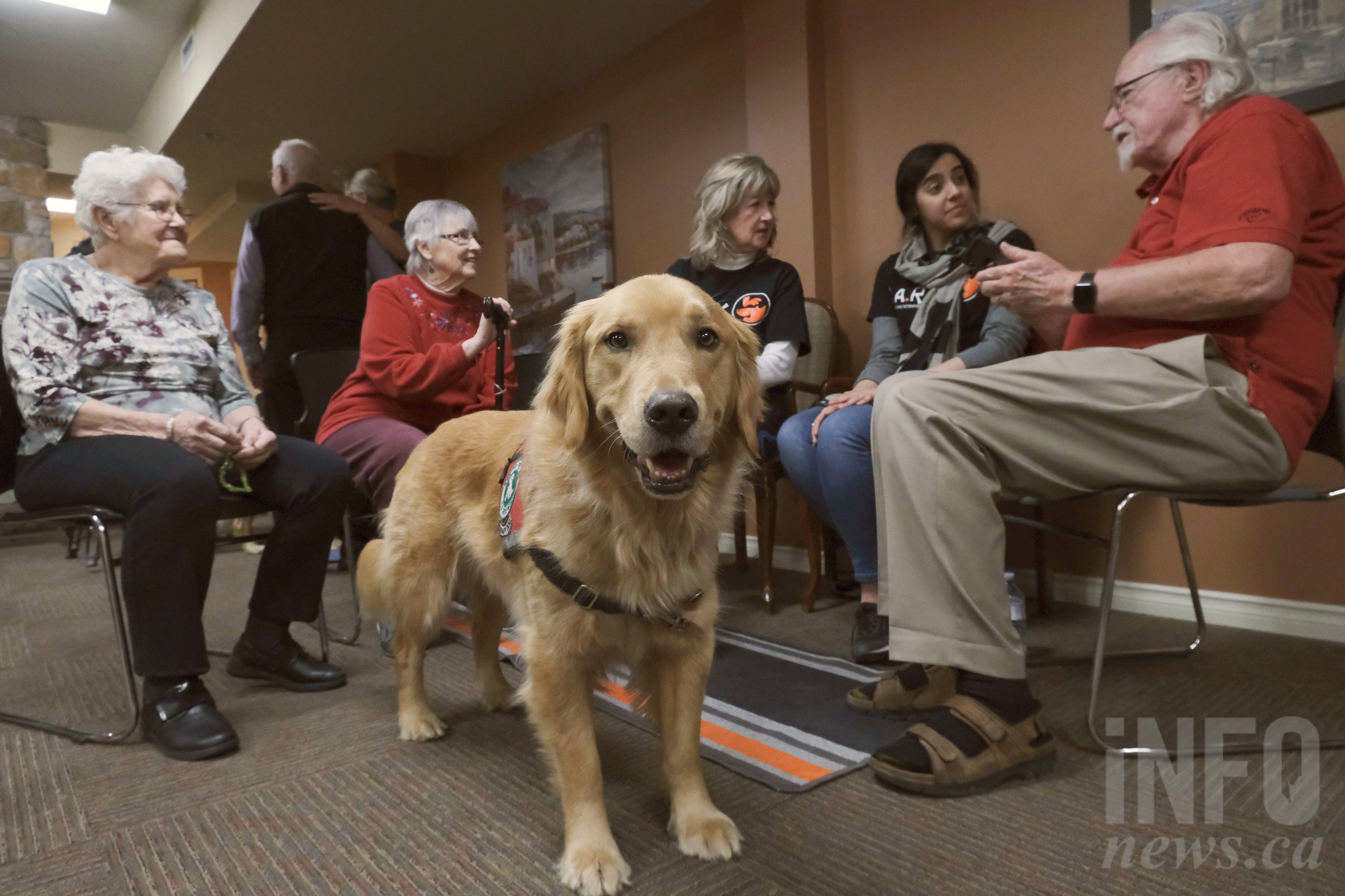 Why Valentine’s Day went to the dogs at Kelowna retirement community | iNFOnews.ca Why Valentine’s Day went to the dogs at Kelowna retirement community | iNFOnews.ca