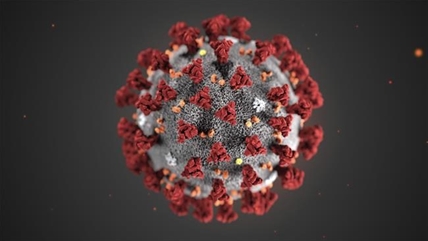 Nurses' unions warn national standards for coronavirus protection too low | iNFOnews.ca Nurses' unions warn national standards for coronavirus protection too low | iNFOnews.ca
