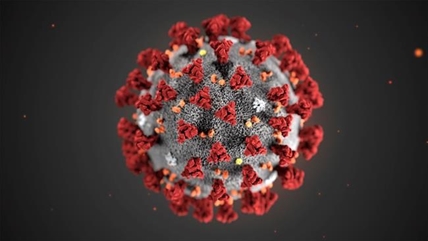 New presumptive case of novel coronavirus in Toronto, health officials say | iNFOnews.ca New presumptive case of novel coronavirus in Toronto, health officials say | iNFOnews.ca