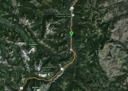 Coq claims life of Calgary woman | iNFOnews.ca