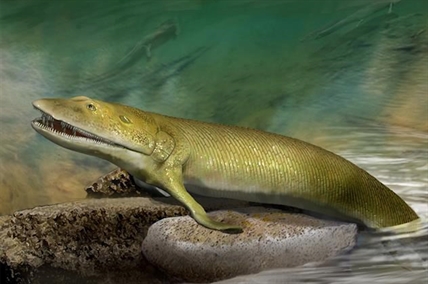 Fish fingers: Origin of human hand and land animals found in ancient Canadian fish fossil | iNFOnews.ca