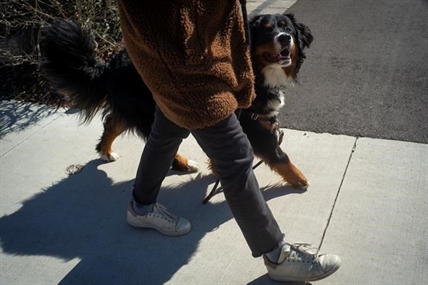 COVID-19 Explainer: Should I keep away from others while walking? Prof says yes | iNFOnews.ca