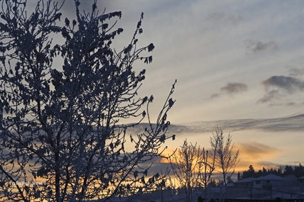 IN PICTURES: Beautiful week in Kamloops | iNFOnews.ca